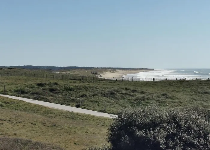 Les Coquelicots * Brétignolles-sur-Mer